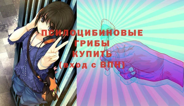 хмурый Алексеевка
