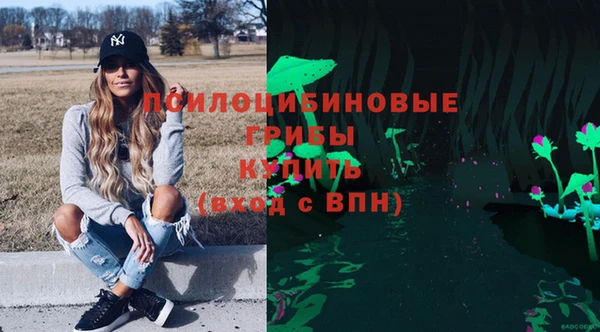 хмурый Алексеевка