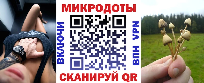 Галлюциногенные грибы MAGIC MUSHROOMS  мега онион  Усолье-Сибирское  магазин продажи  